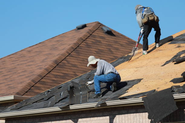 Best Roof Maintenance and Cleaning  in , GA