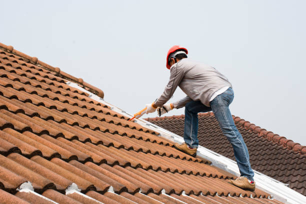 Best Gutter Installation and Repair  in , GA